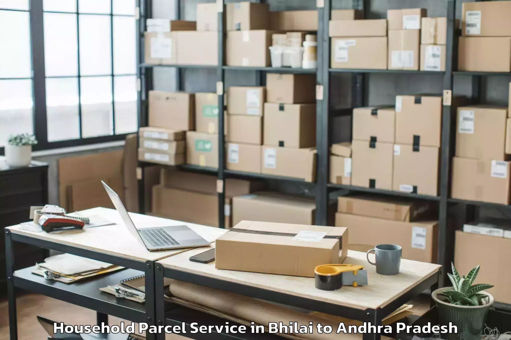 Professional Bhilai to Etikoppaka Household Parcel